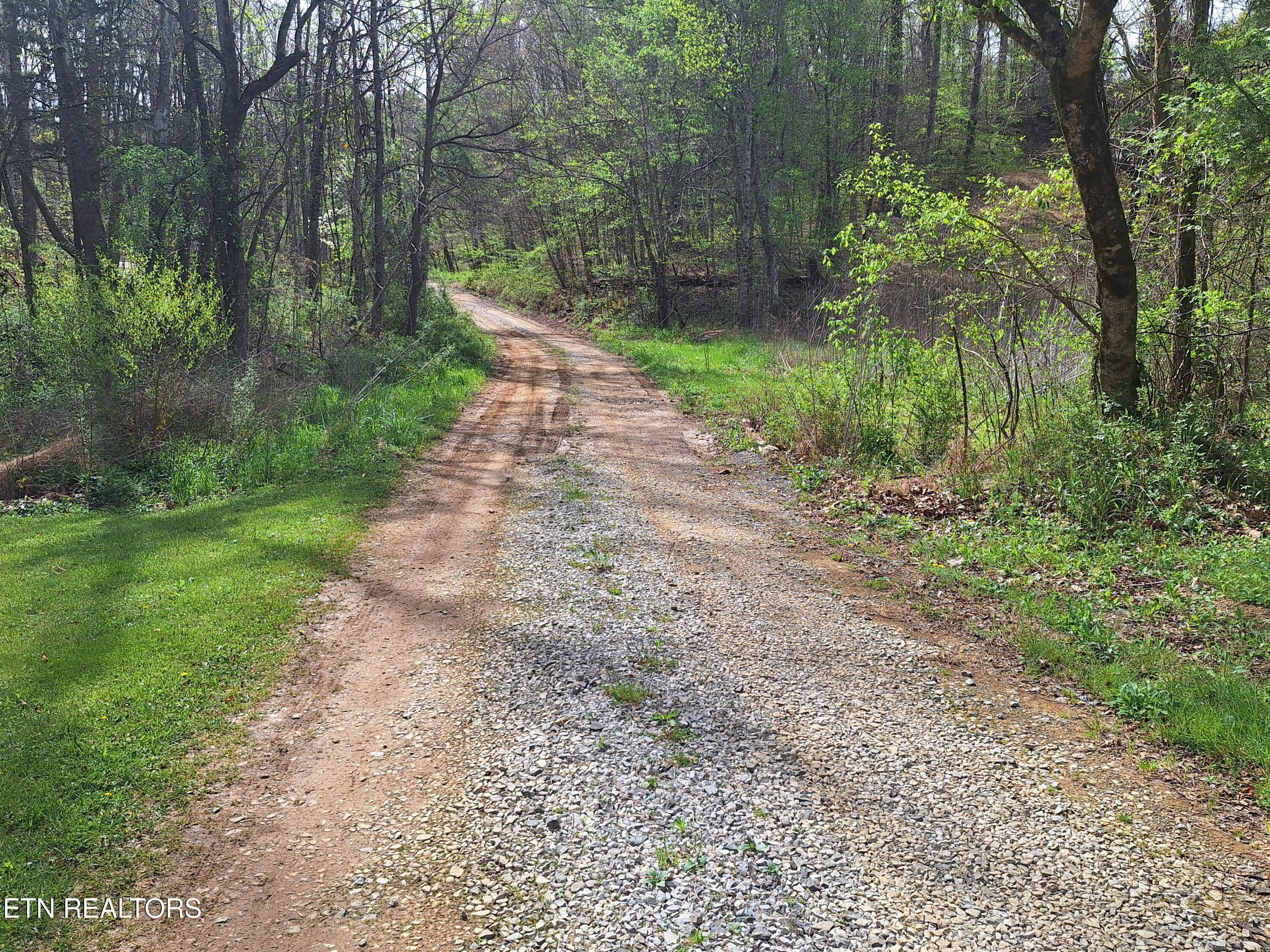180 Walker Road Tellico Plains, TN 37385 - Photo 24 of 27 20260406_113317