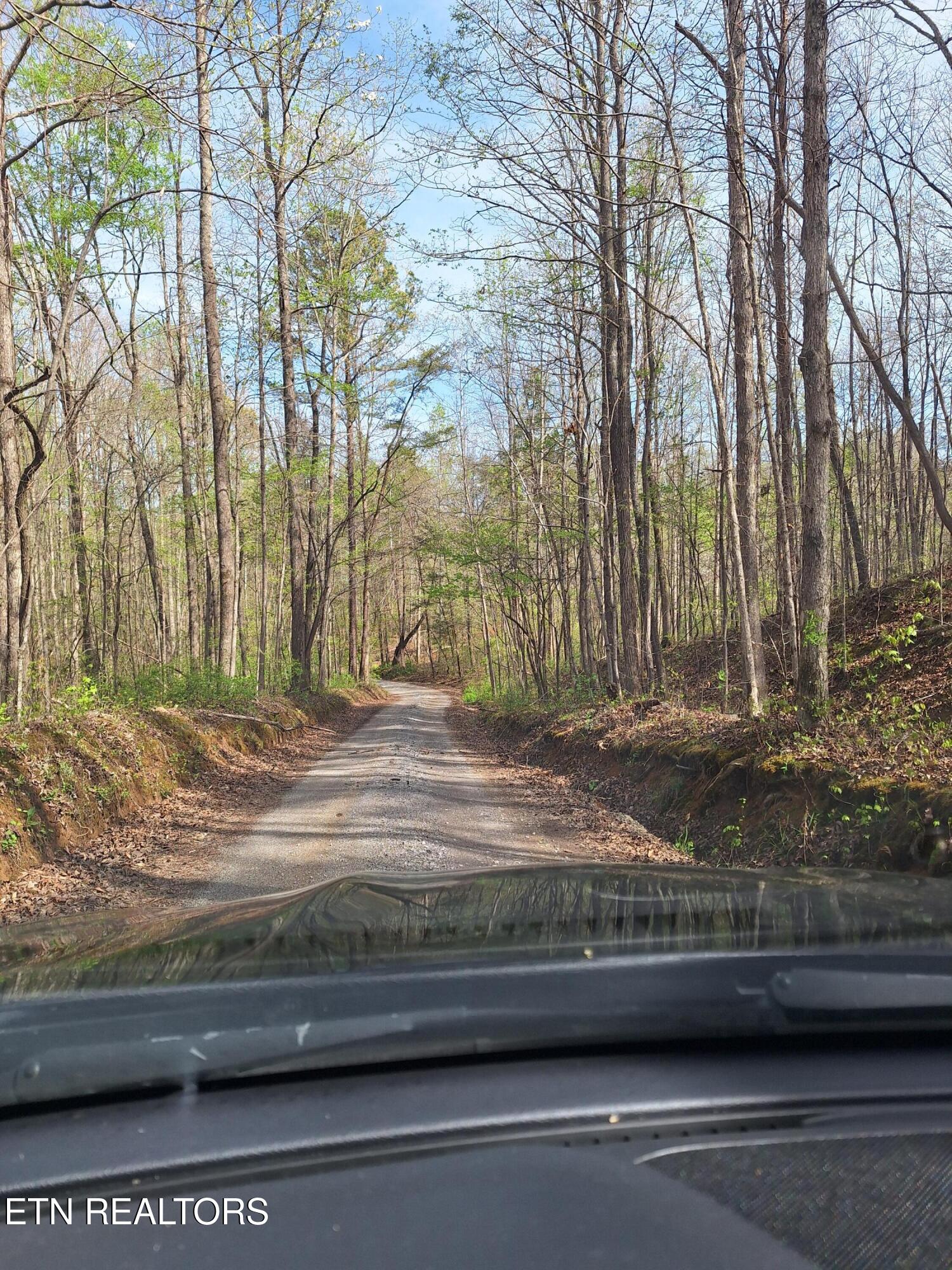 180 Walker Road Tellico Plains, TN 37385 - Photo 7 of 27 20260406_110846