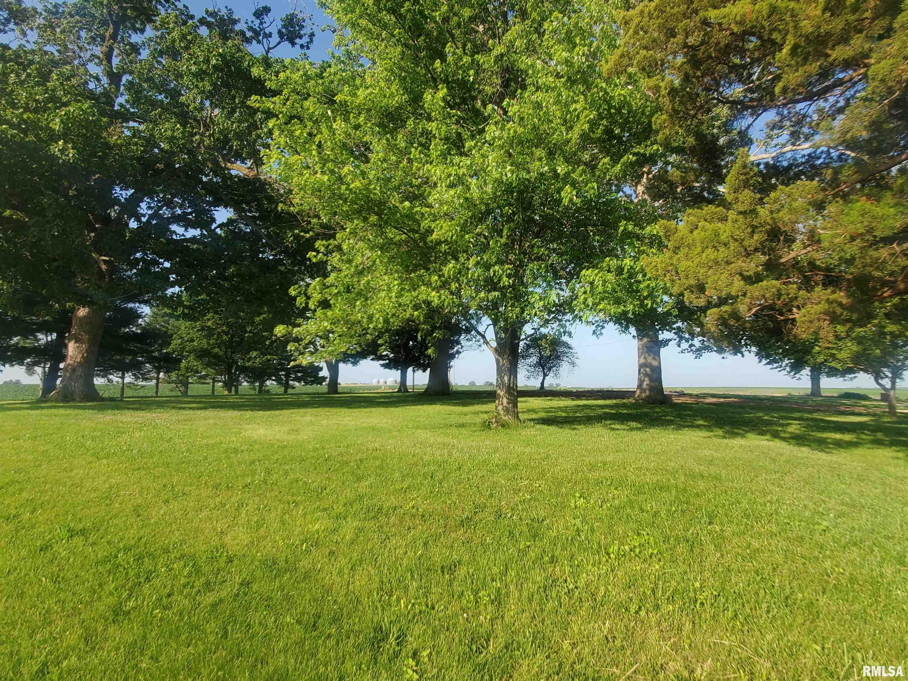 1392 Walnut Road Virginia, IL 62691 - Photo 2 of 8