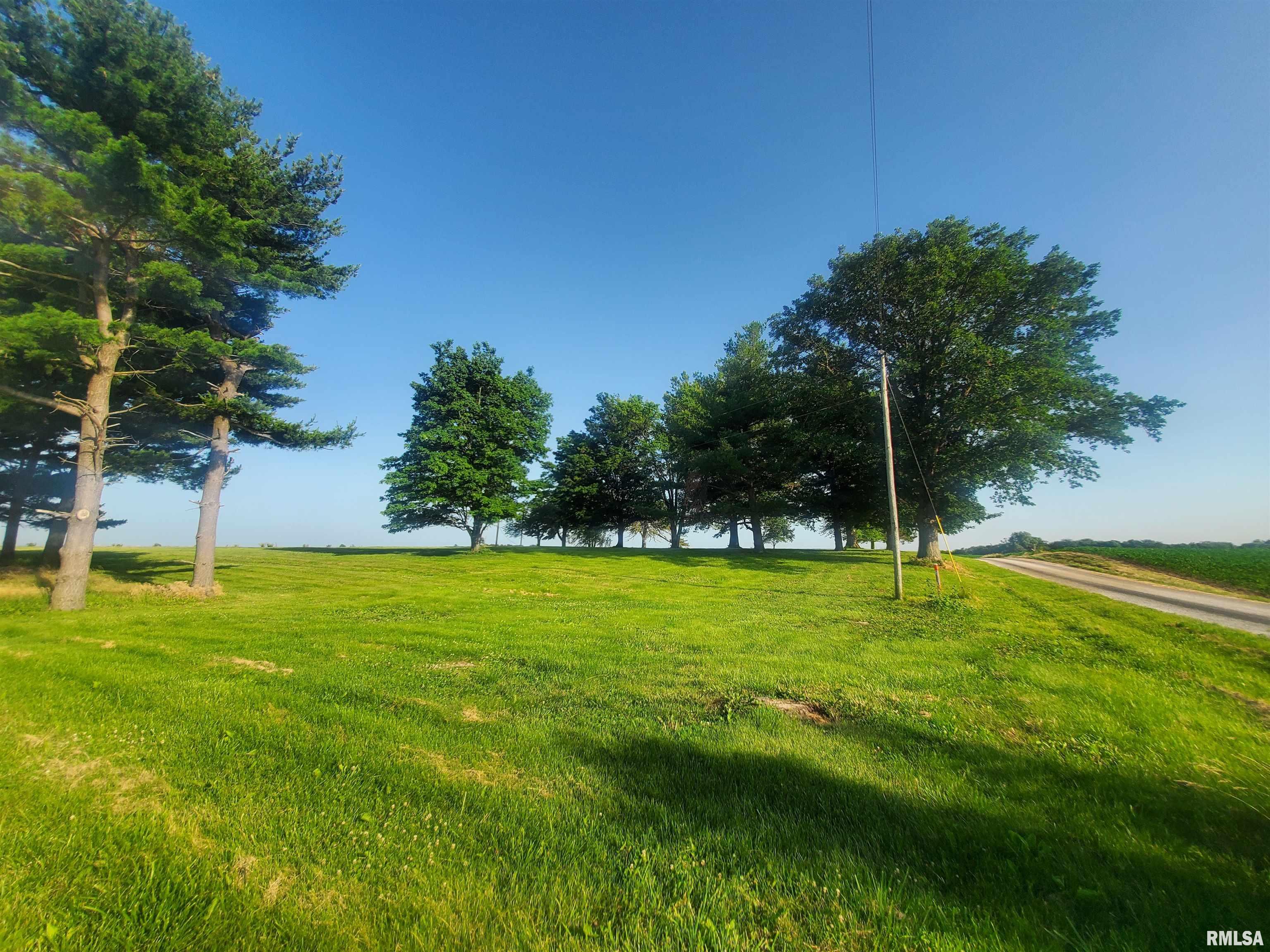 1392 Walnut Road Virginia, IL 62691 - Photo 3 of 8