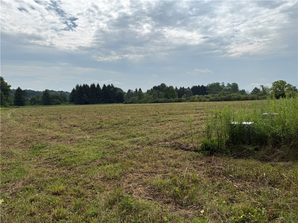Halseyville Road Ithaca, NY 14850 - Photo 13 of 29 Gallery Image 13