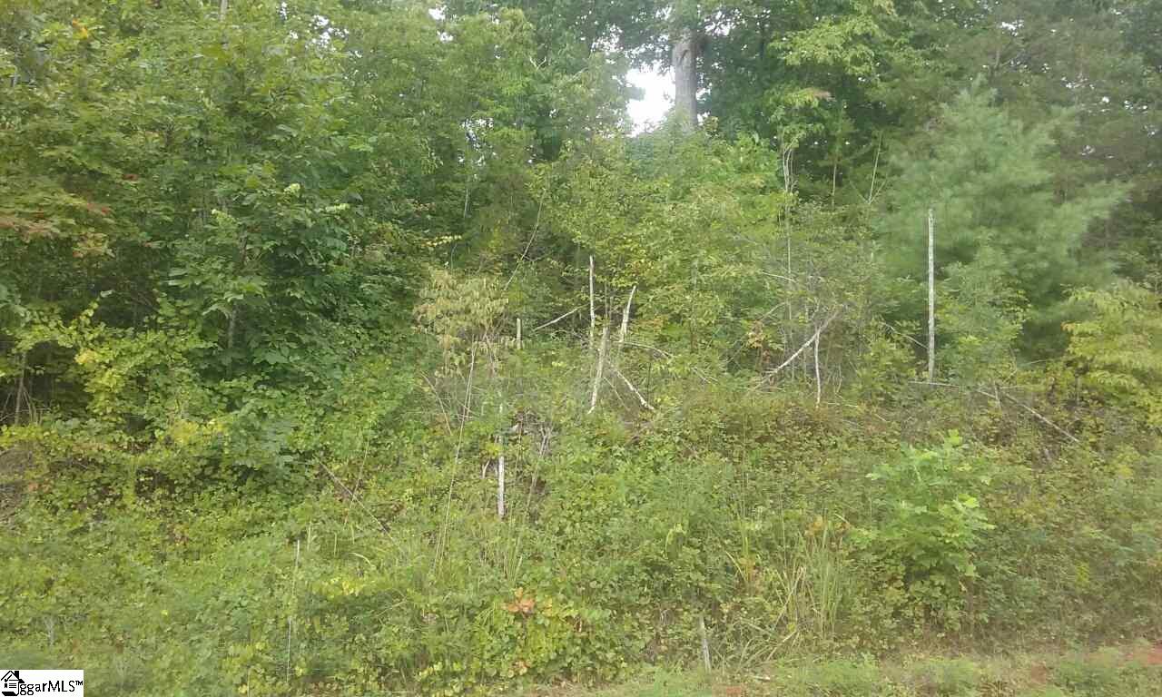 0 Martins Lake Road Gray Court, SC 29645 - Photo 1 of 1 Gallery Image 1