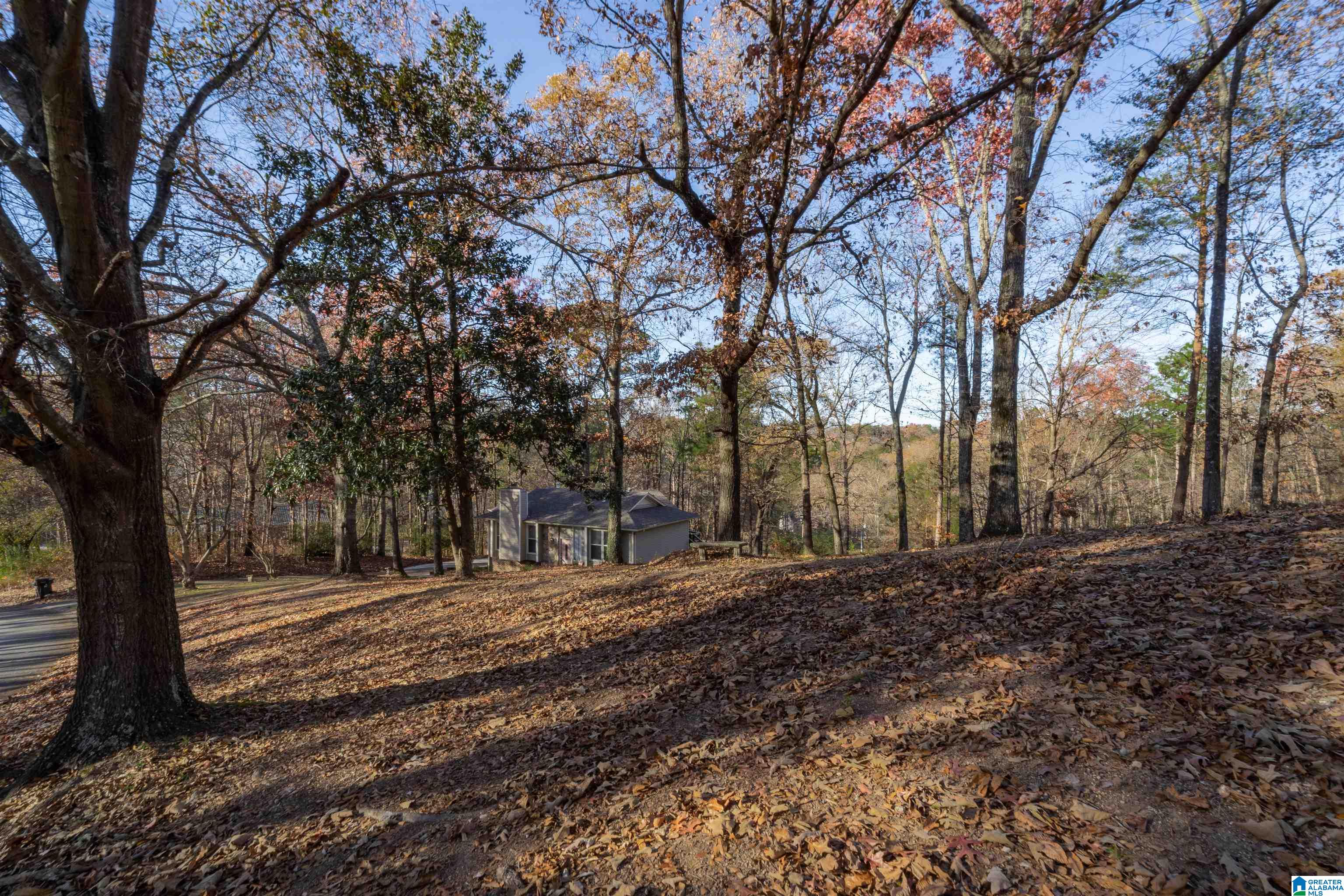 2569 Chandalar Lane Pelham, AL 35124 - Photo 63 of 77