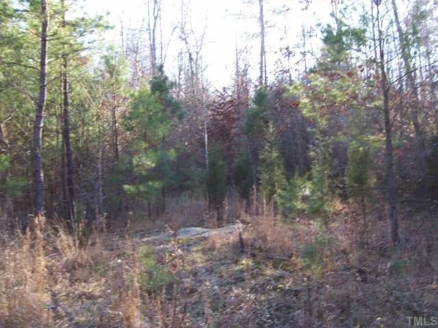 Lot 8 Emory Roxboro, NC 27574 - Photo 1 of 1 a view of a forest with trees