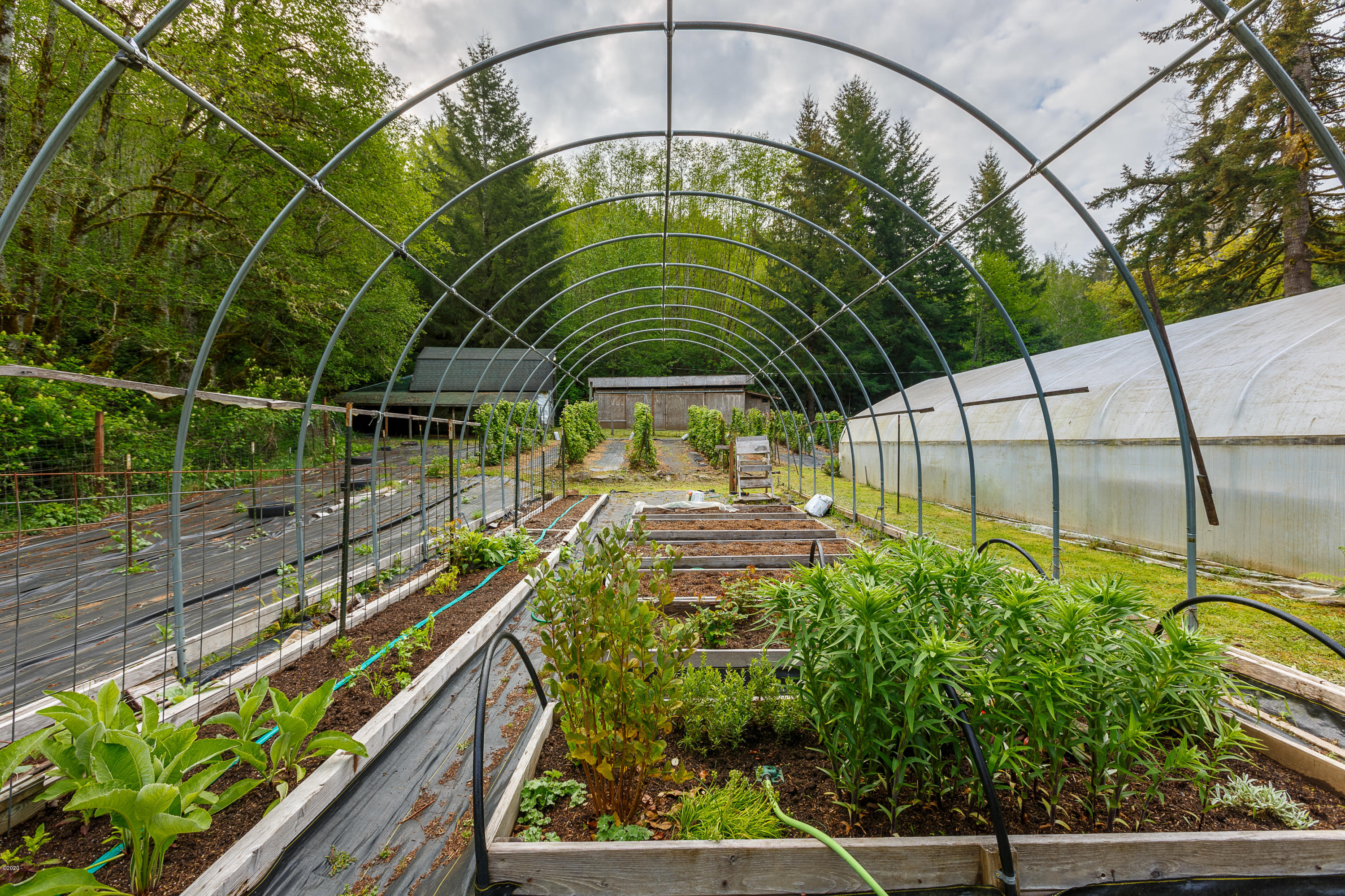 1266 North Yachats River Road Yachats, OR 97498 - Photo 58 of 79 Gardens