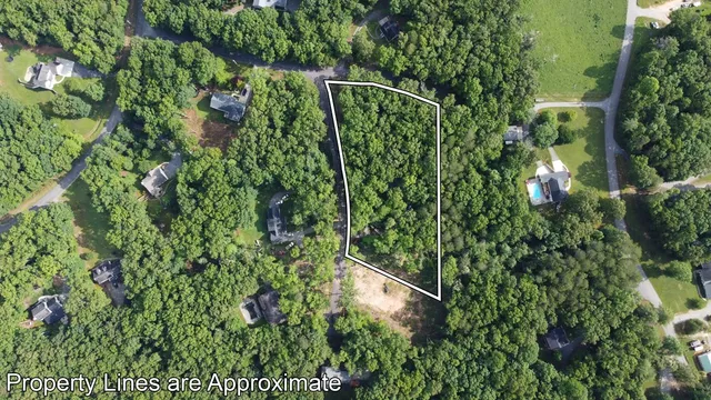 a view of a garden with plants