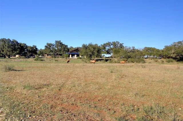 a view of empty yard