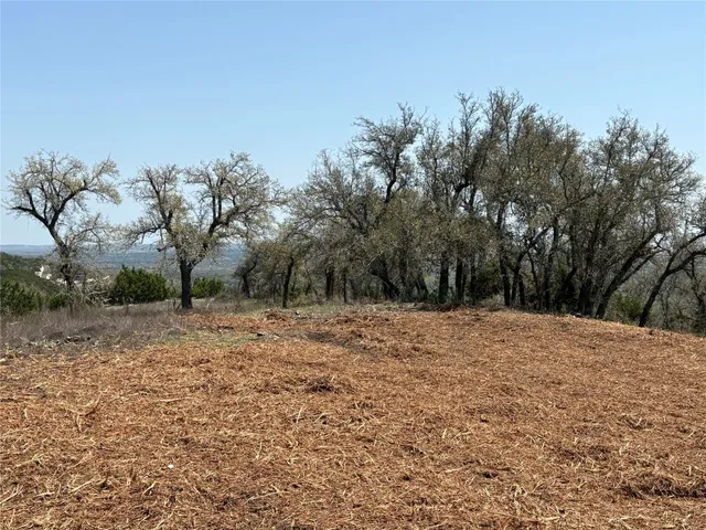 an aerial view of residential house and green space