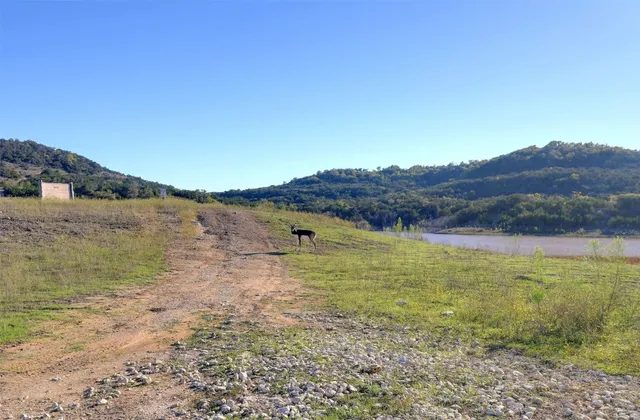 a view of a swimming pool with an ocean view