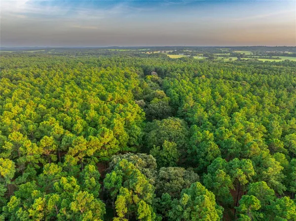 a view of a green field with lots of bushes