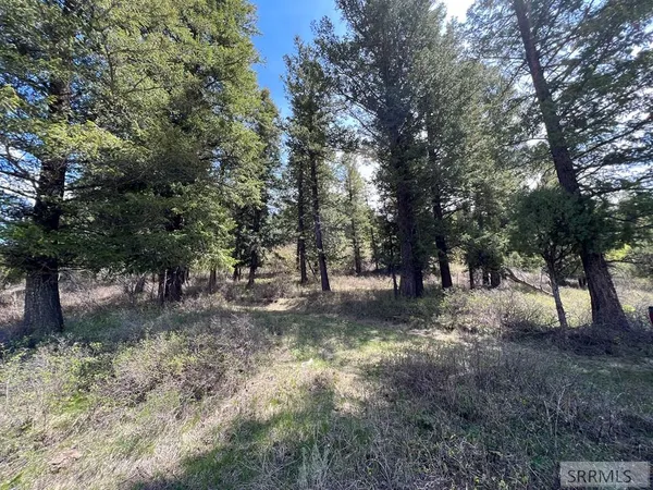 $289,000 | 32 Cutthroat Run, Irwin, ID 83428