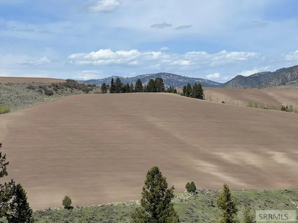 $289,000 | 32 Cutthroat Run, Irwin, ID 83428