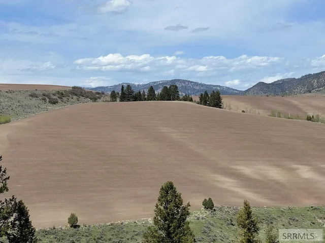 $289,000 | 32 Cutthroat Run, Irwin, ID 83428