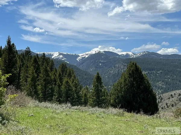$289,000 | 32 Cutthroat Run, Irwin, ID 83428