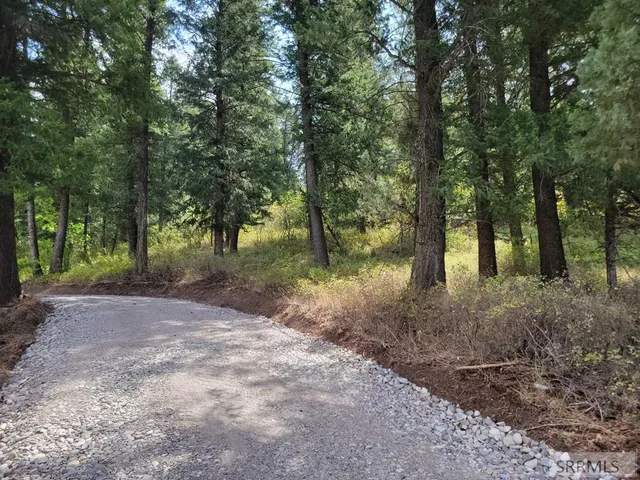 $289,000 | 32 Cutthroat Run, Irwin, ID 83428