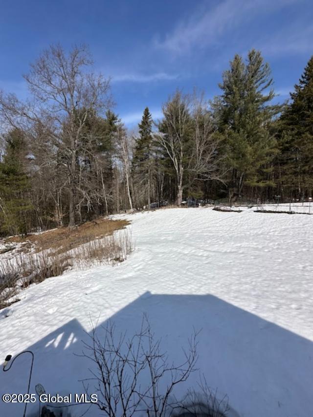 263 Mutton Hollow Road Moriah, NY 12960 - Photo 19 of 21 12