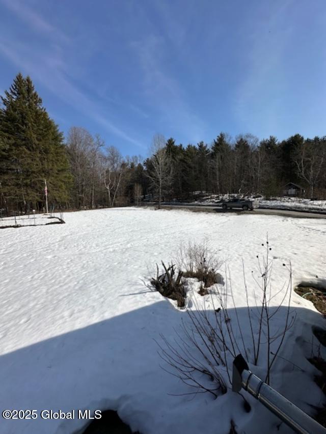 263 Mutton Hollow Road Moriah, NY 12960 - Photo 20 of 21 14