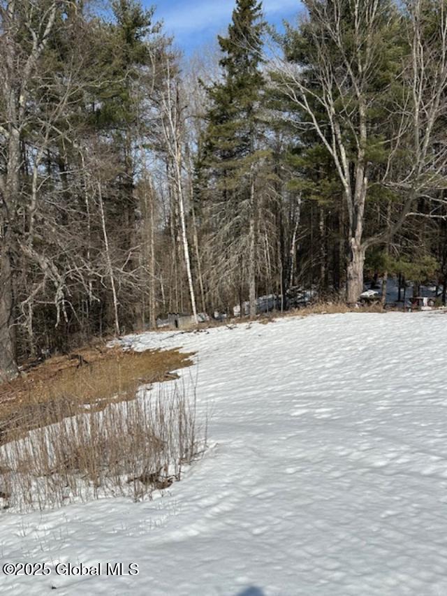 263 Mutton Hollow Road Moriah, NY 12960 - Photo 21 of 21 15