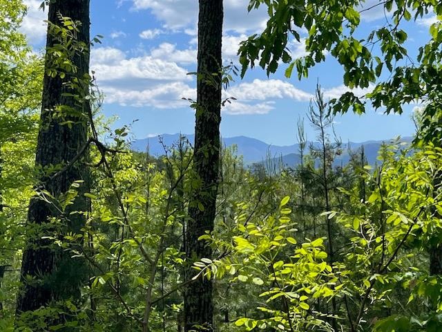 134 Summit Trails Drive Sevierville, TN 37862 - Photo 2 of 19