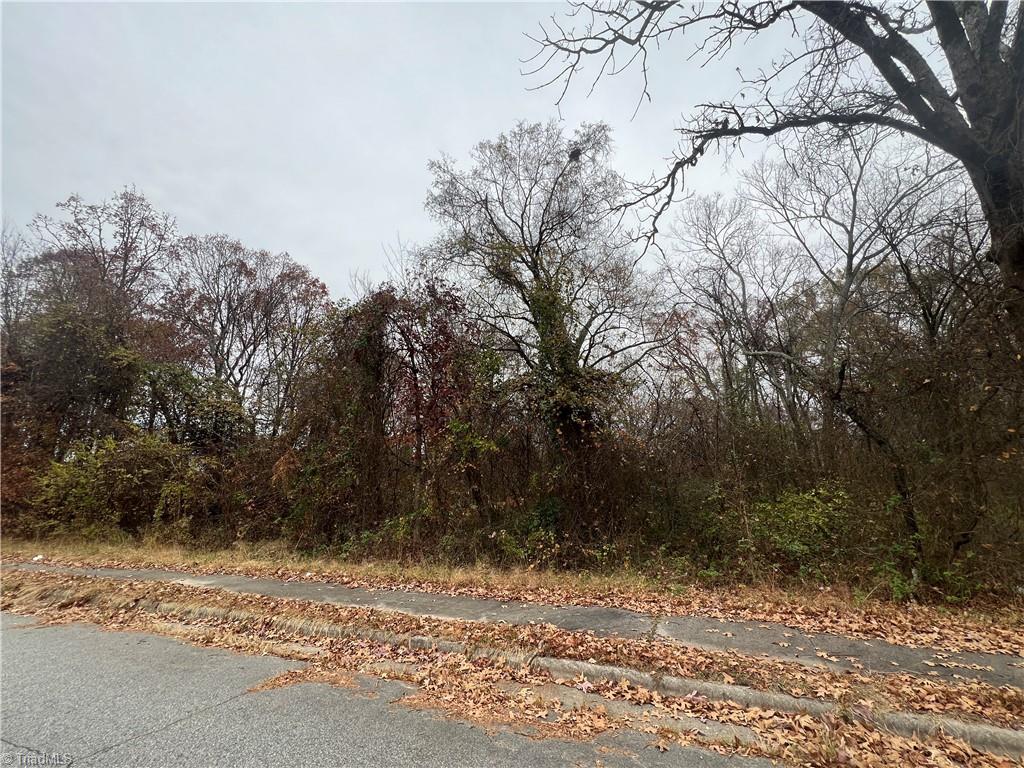 701 Meredith Street High Point, NC 27260 - Photo 3 of 3 Gallery Image 3