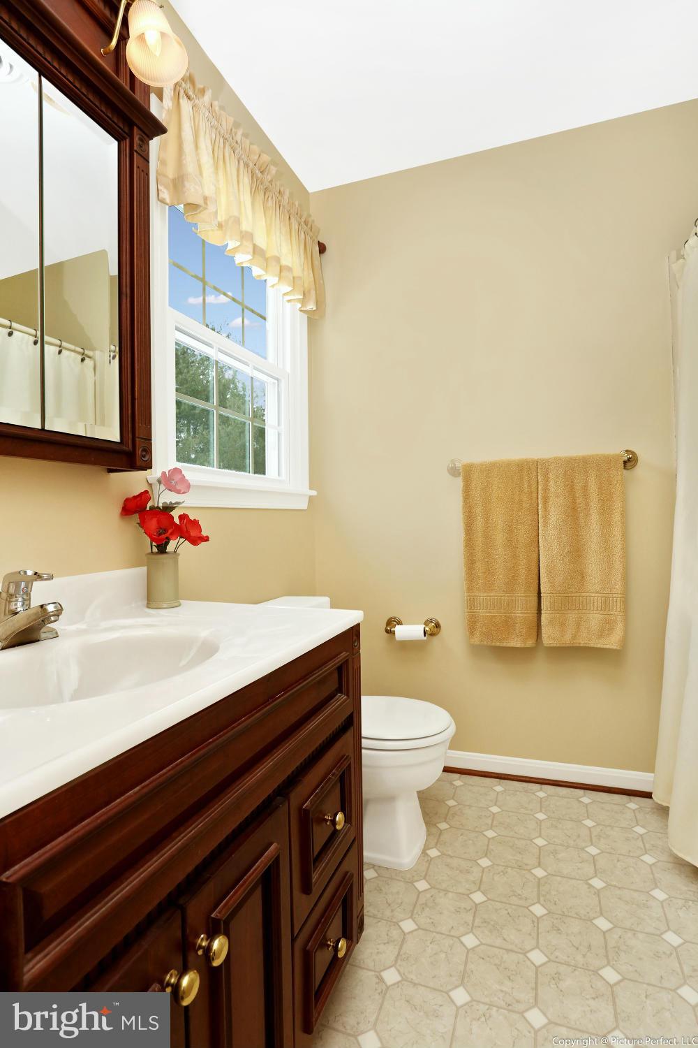 24240 Hipsley Mill Road Laytonsville, MD 20882 - Photo 17 of 26 Bath (Master)