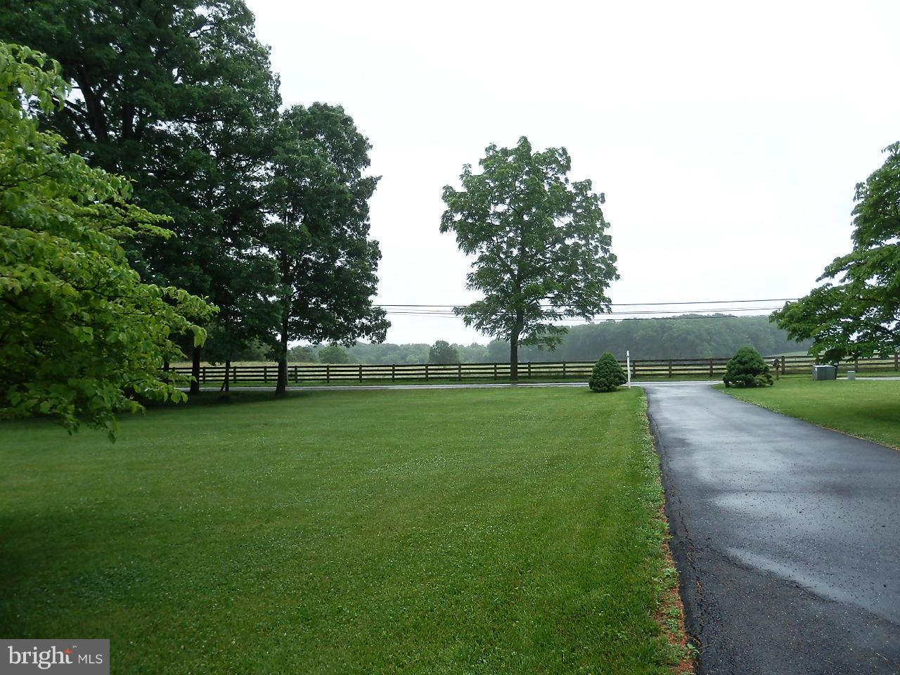 24240 Hipsley Mill Road Laytonsville, MD 20882 - Photo 25 of 26 Beautiful view from the front of the home