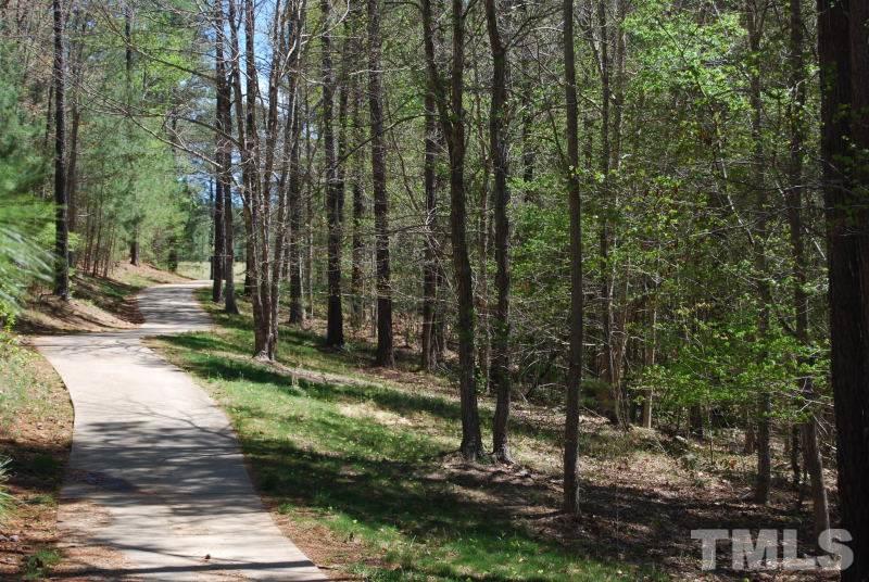 196 High Ridge Lane Pittsboro, NC 27312 - Photo 6 of 10 Gallery Image 6