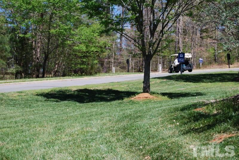 196 High Ridge Lane Pittsboro, NC 27312 - Photo 7 of 10 Gallery Image 7