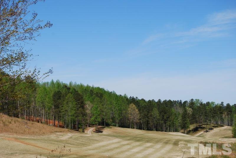 196 High Ridge Lane Pittsboro, NC 27312 - Photo 9 of 10 Gallery Image 9