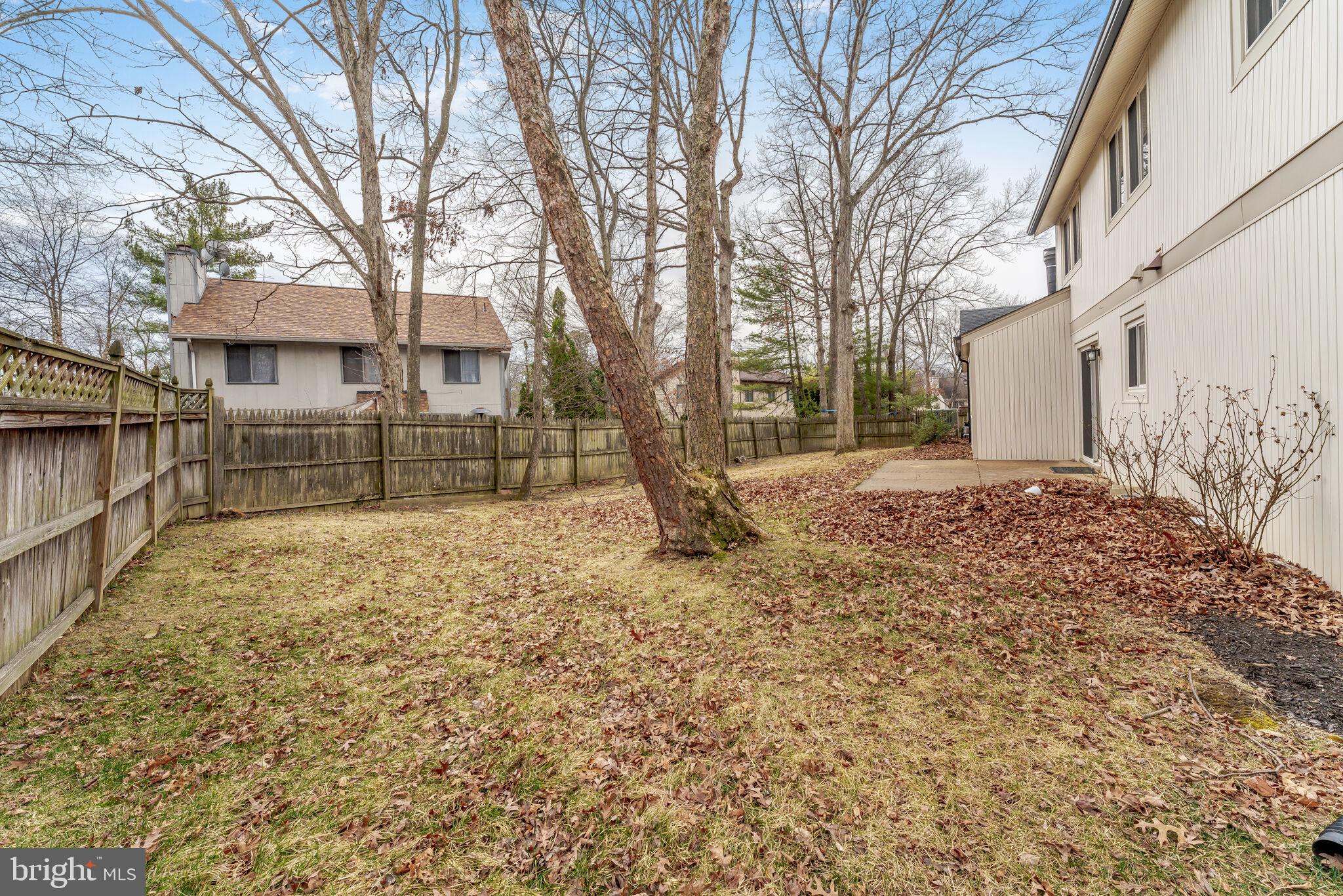 5943 Hall Street Springfield, VA 22152 - Photo 19 of 23 a view of a yard with a large tree