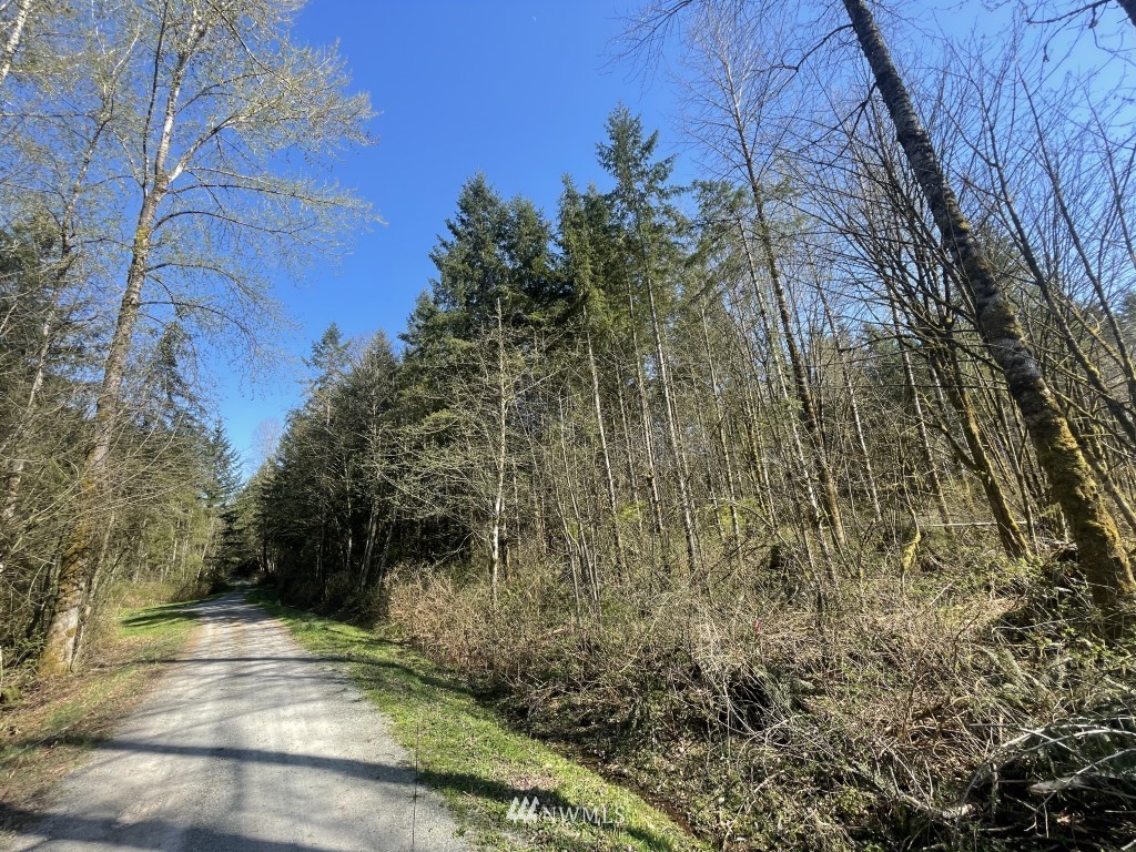 174-xx Pilchuck Tree Farm Road Granite Falls, WA 98252 - Photo 2 of 13 Gallery Image 2