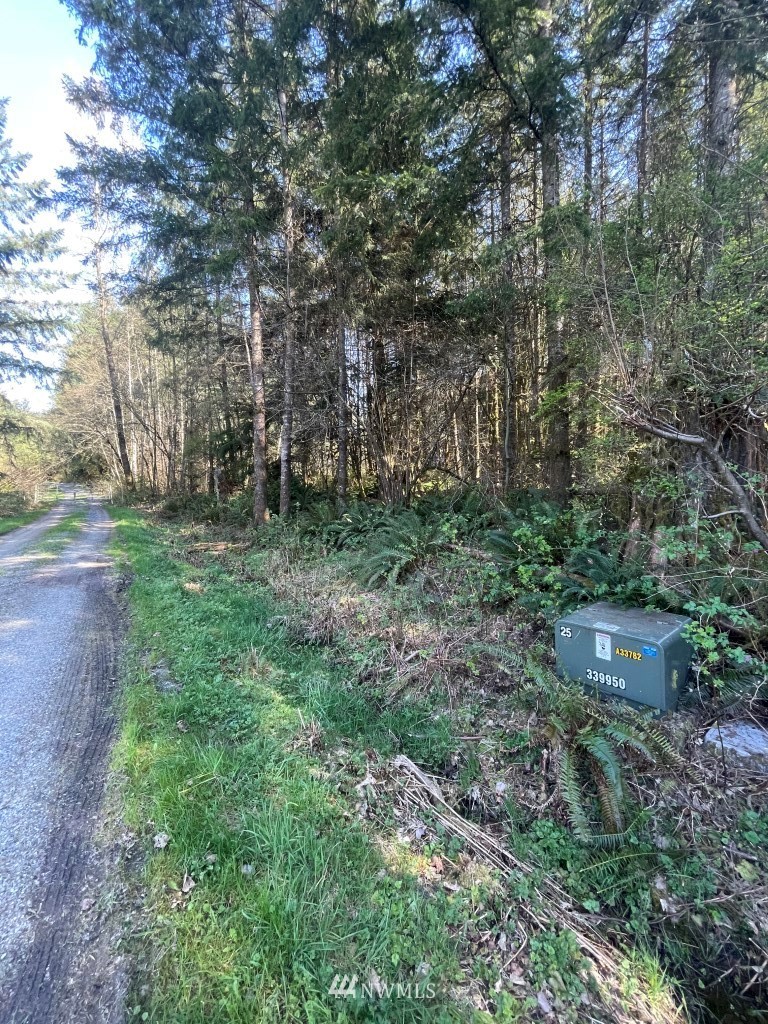 174-xx Pilchuck Tree Farm Road Granite Falls, WA 98252 - Photo 11 of 13 Gallery Image 11