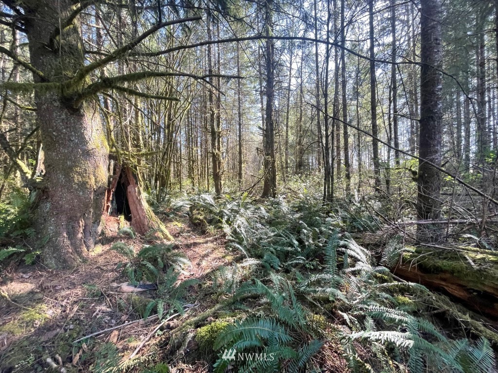 174-xx Pilchuck Tree Farm Road Granite Falls, WA 98252 - Photo 3 of 13 Gallery Image 3