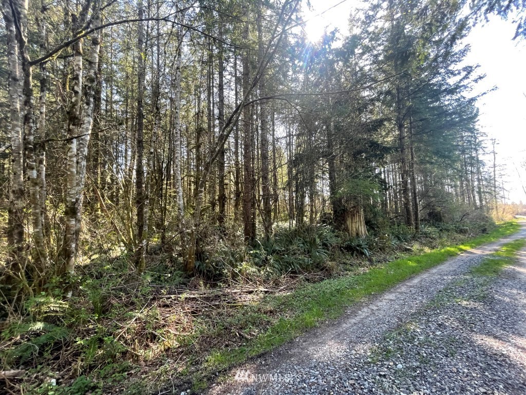 174-xx Pilchuck Tree Farm Road Granite Falls, WA 98252 - Photo 5 of 13 Gallery Image 5