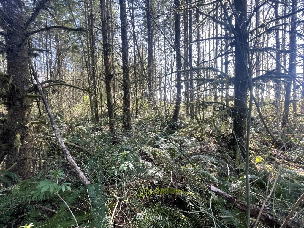 174-xx Pilchuck Tree Farm Road Granite Falls, WA 98252 - Photo 7 of 13 Gallery Image 7