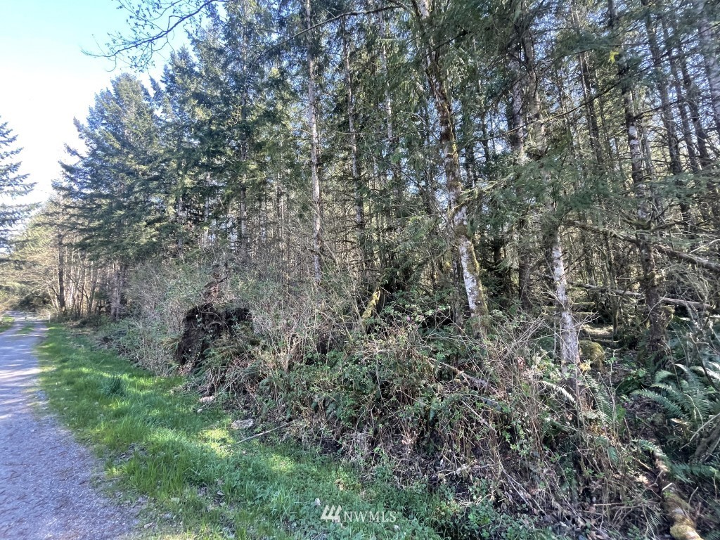 174-xx Pilchuck Tree Farm Road Granite Falls, WA 98252 - Photo 9 of 13 Gallery Image 9