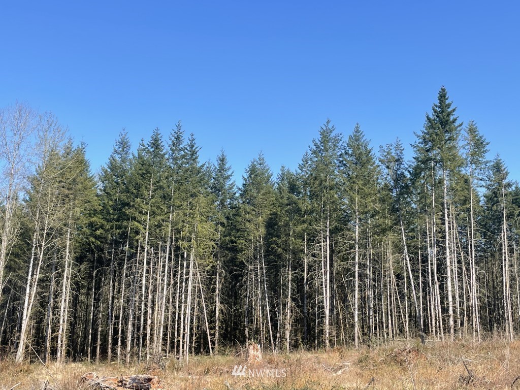 174-xx Pilchuck Tree Farm Road Granite Falls, WA 98252 - Photo 10 of 13 Gallery Image 10