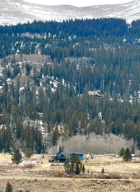 141 Quartzville Road Alma, CO 80420 - Photo 4 of 48
