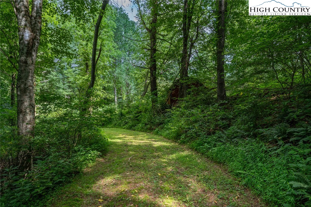 2647 Watauga River Road Sugar Grove, NC 28679 - Photo 8 of 35 Gallery Image 8