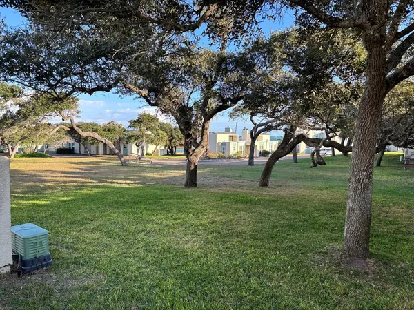 a view of yard with trees