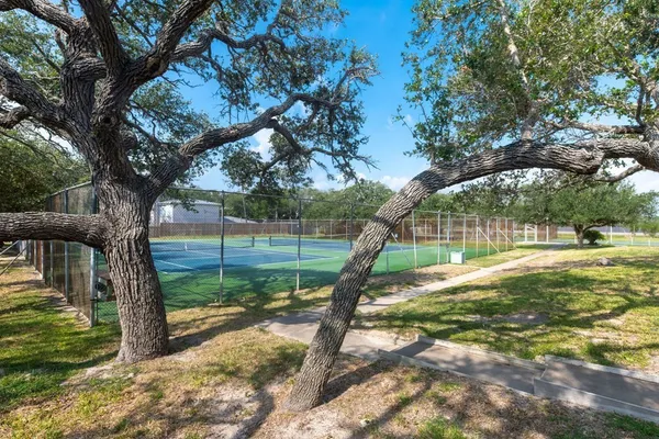 a view of a yard with a tree and a slide