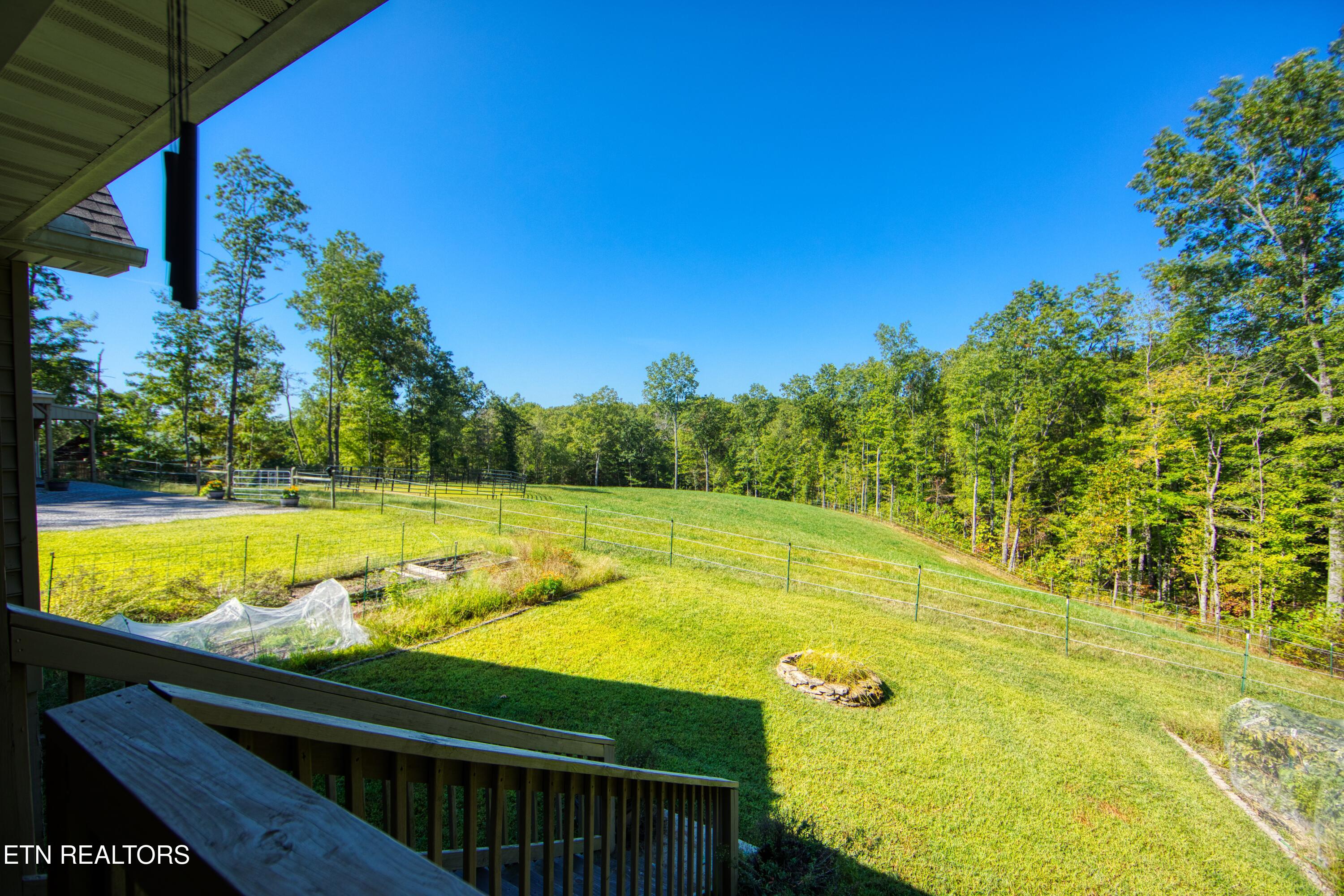540 Buck Ridge Road Jamestown, TN 38556 - Photo 35 of 48 EK3A2915