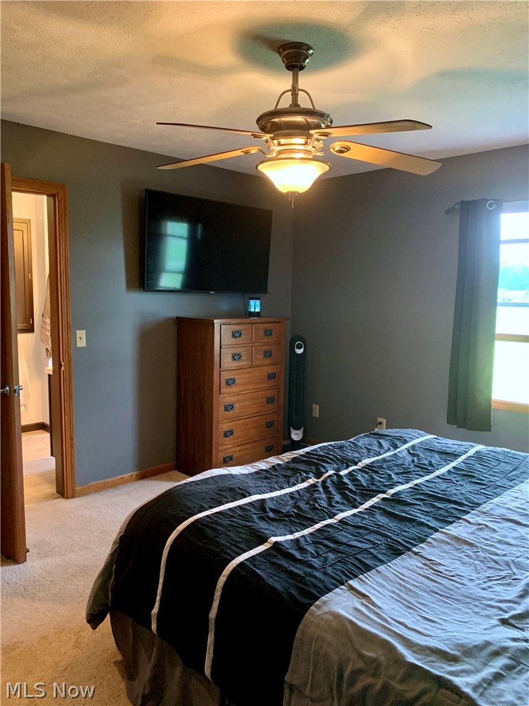 39160 Smith Road Litchfield, OH 44253 - Photo 20 of 34 Gallery Image 20
