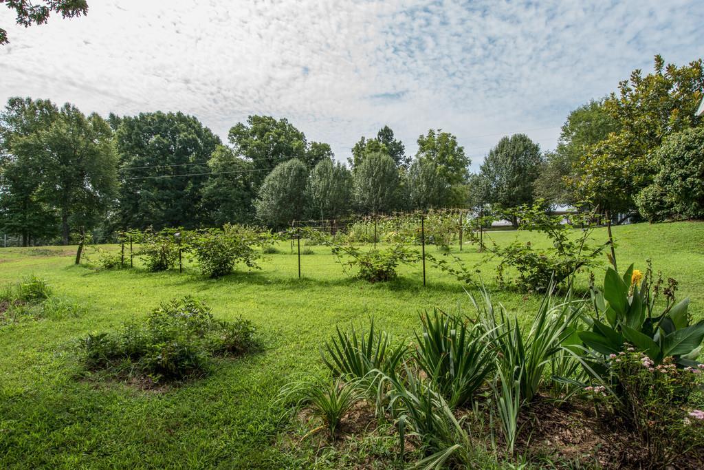 495 Ab Wade Road Portland, TN 37148 - Photo 7 of 27