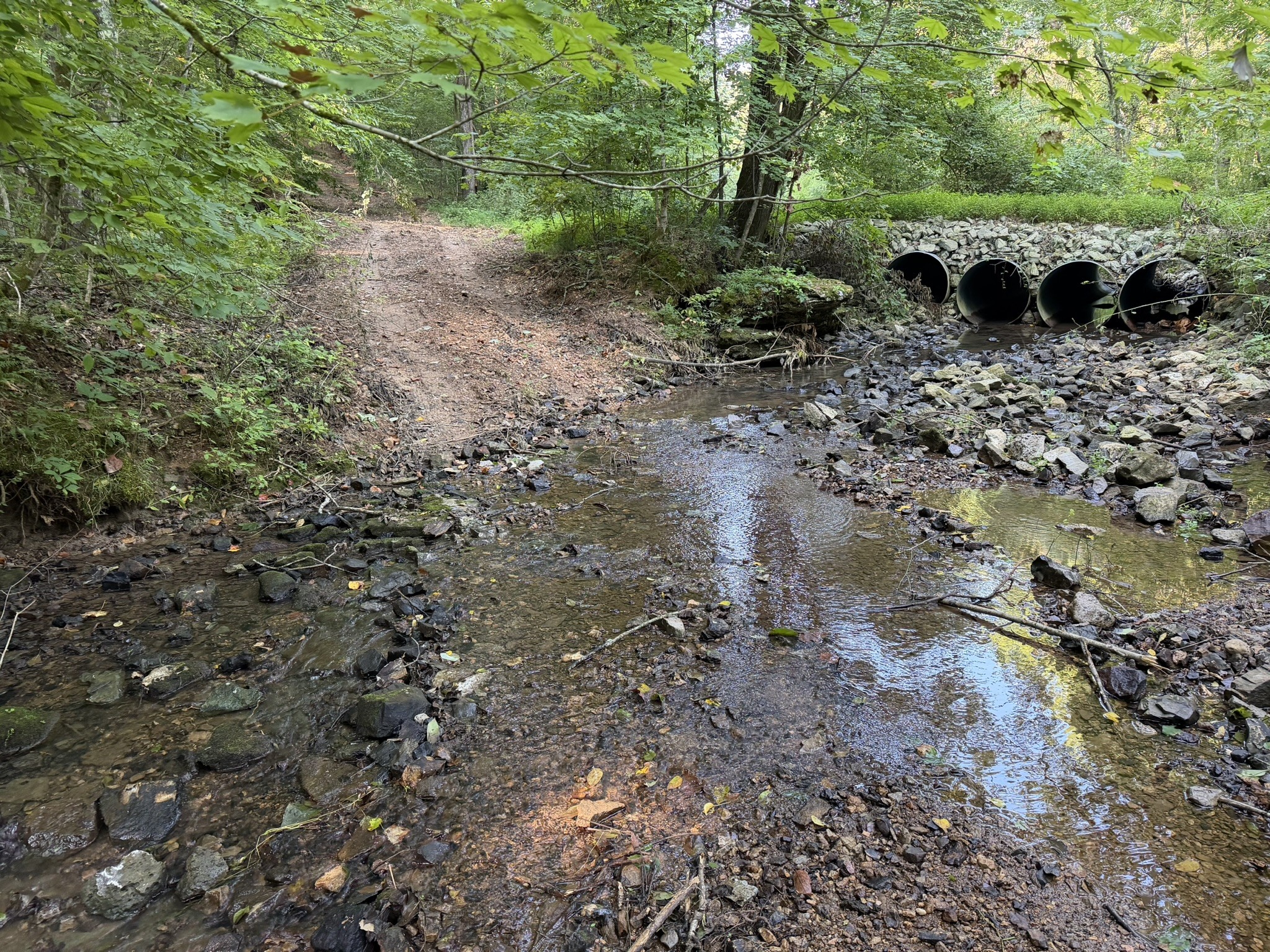 0 Brown Road Bon Aqua, TN 37025 - Photo 42 of 56 Gallery Image 42