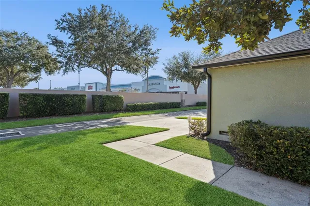 a view of a yard with plants and a large tree