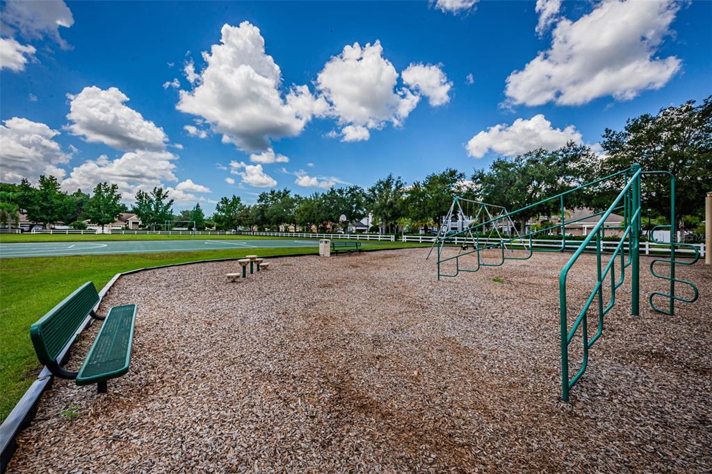 16207 Rambling Road Odessa, FL 33556 - Photo 70 of 76