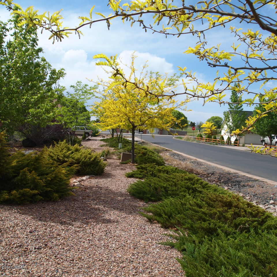 2525 Ridge Road Snowflake, AZ 85937 - Photo 4 of 61 Gallery Image 4
