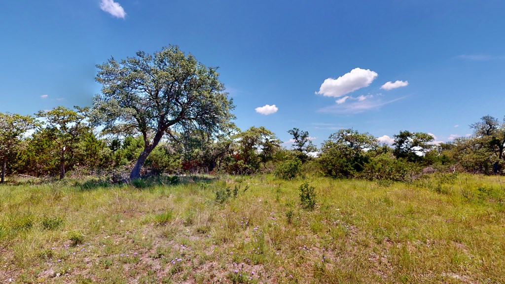 100 Joe W Road Fredericksburg, TX 78624 - Photo 7 of 25 Gallery Image 7