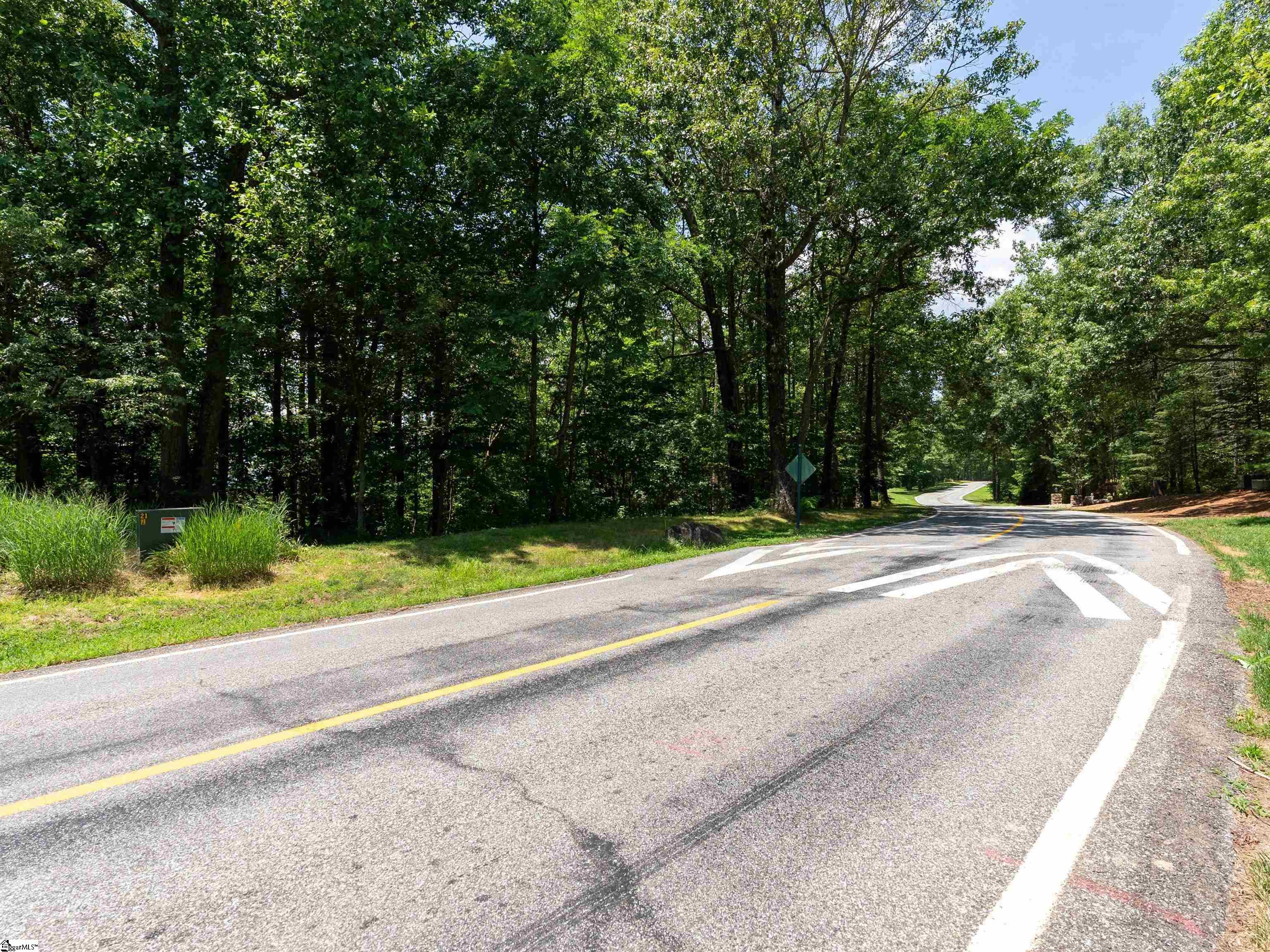 Lot 22 Plumley Summit Road Landrum, SC 29356 - Photo 14 of 27